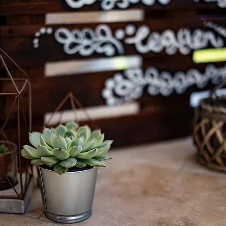 Amica Vendeghaz זלקרוס