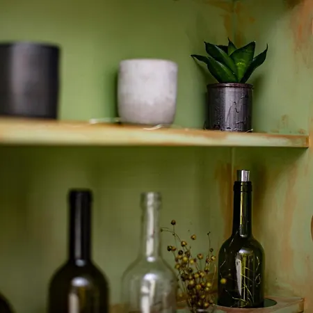 Amica Vendeghaz בית נופש זלקרוס