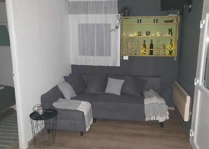 Amica Vendeghaz בית נופש